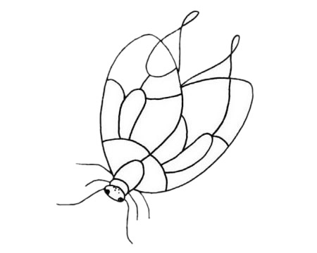 飞蛾简笔画图片