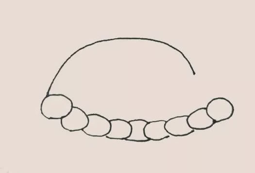 火鸡大餐简笔画