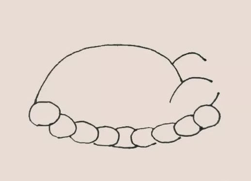 火鸡大餐简笔画