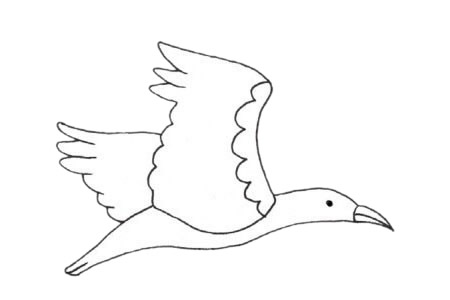 鸬鹚简笔画图片