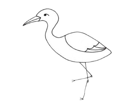 鸬鹚简笔画图片大全作品四