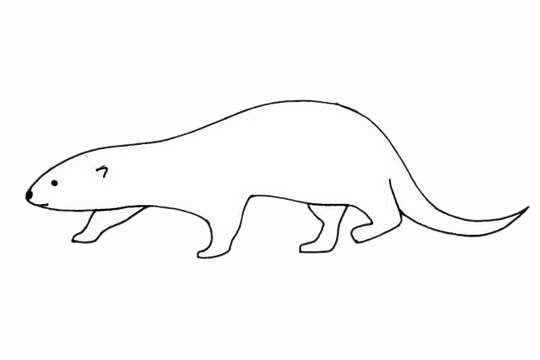 水獭简笔画图片