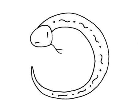 小蛇简笔画图片