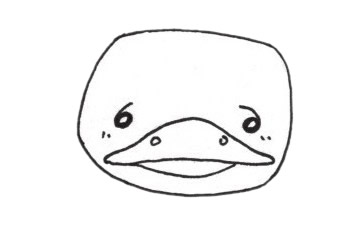 鸭嘴兽简笔画图片