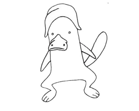鸭嘴兽简笔画图片