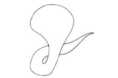 眼镜蛇简笔画步骤教程