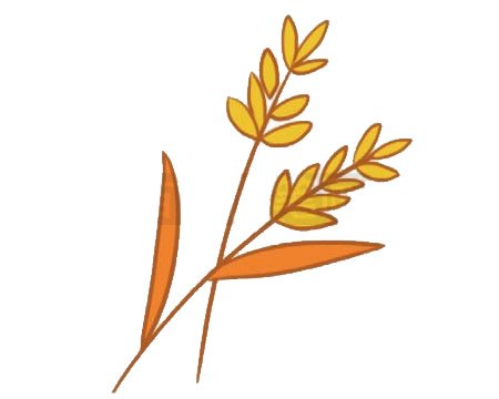 麦穗简笔画图片大全作品二