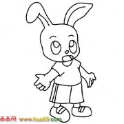 简笔画:开心的小白兔5