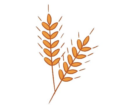 麦穗简笔画图片大全作品一