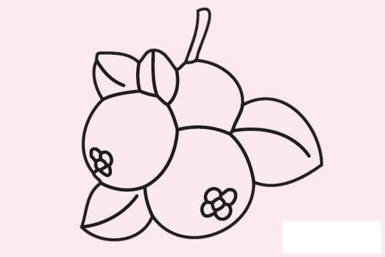 枇杷简笔画图片