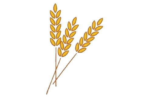 麦穗简笔画完成图
