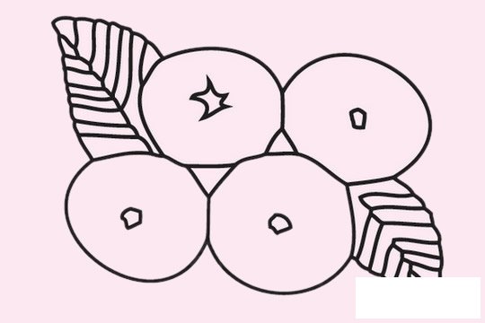 枇杷简笔画图片