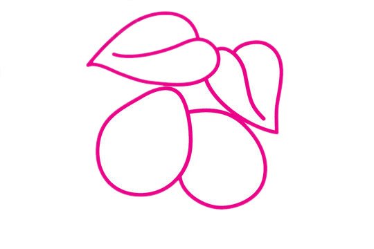 枇杷简笔画图片