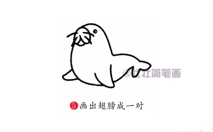 海豹简笔画画法_怎么画海豹的简笔画