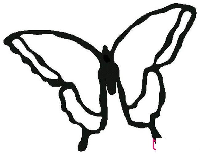 蝴蝶简笔画图片，美丽的蝴蝶