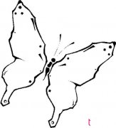 蝴蝶简笔画图片,美丽的蝴蝶