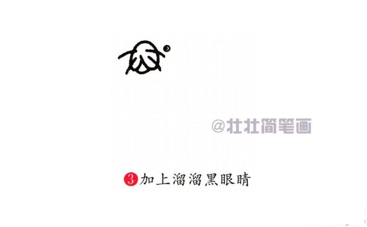 海豹简笔画画法_怎么画海豹的简笔画