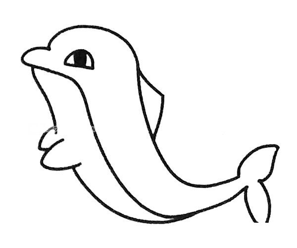 6款可爱的海豚简笔画图片