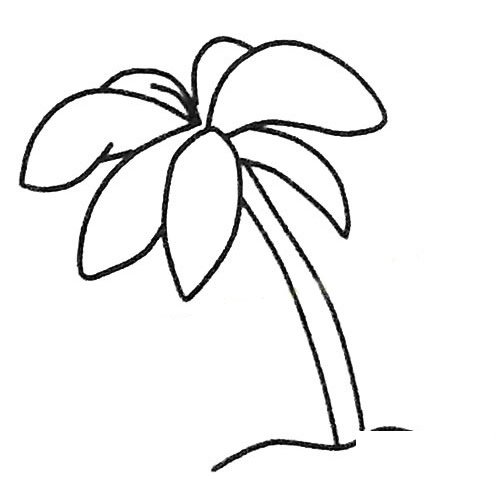 儿童简笔画大全 椰子树简笔画图片
