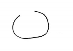 学画石榴简笔画步骤教程