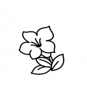 少儿学画一朵五瓣的小花画法