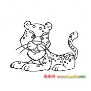 动物简笔画：凶猛的小豹子