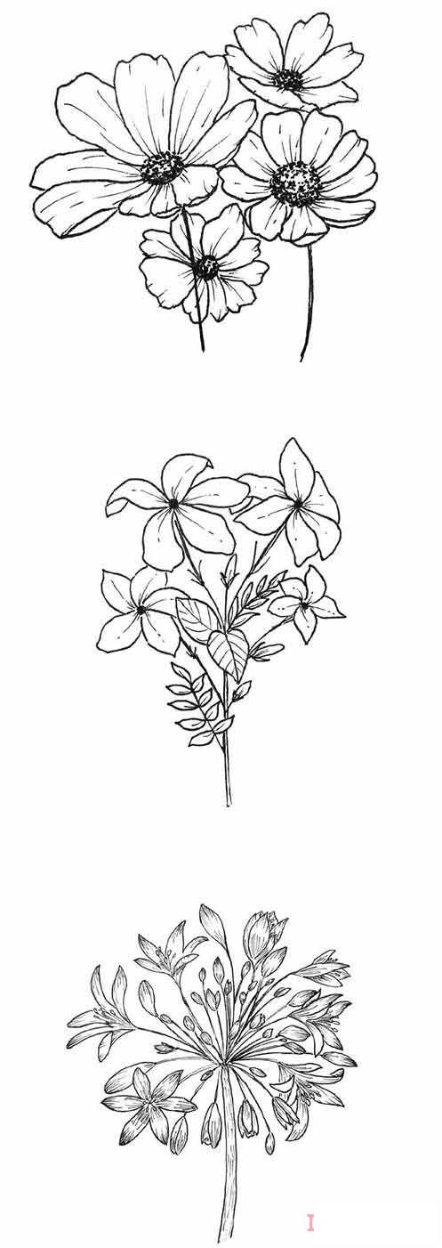 1分钟简笔画鲜花素描的画法详细步骤简单好看