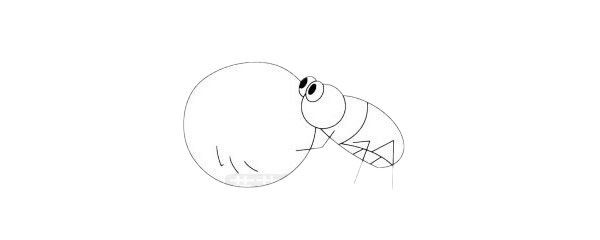 屎壳郎简笔画图片