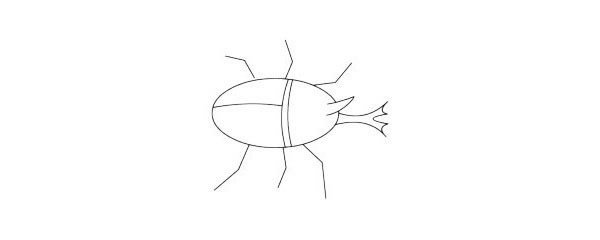 屎壳郎简笔画图片