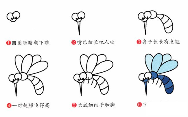 蚊子昆虫简笔画步骤图片大全