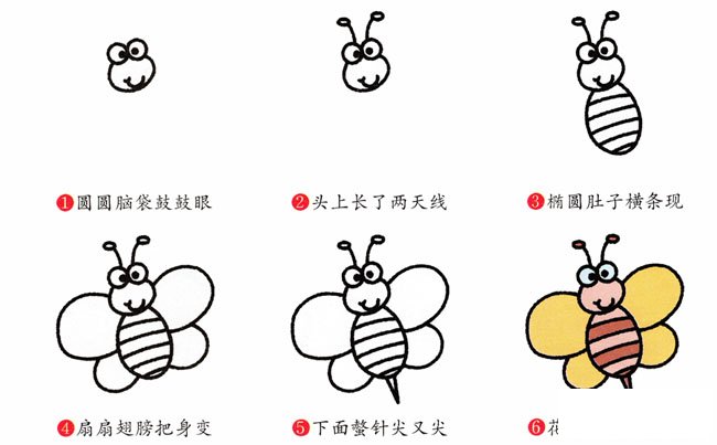 蜜蜂昆虫简笔画步骤图片大全