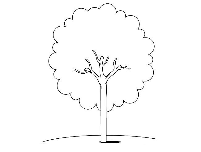 简单好看的树简笔画图片