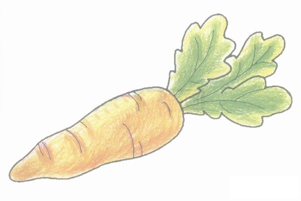 胡萝卜简笔画图片