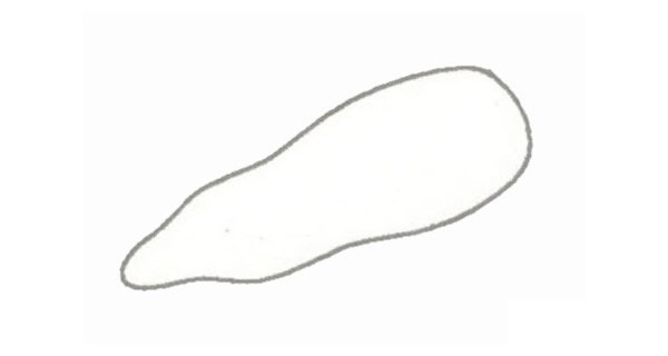 胡萝卜简笔画图片