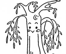 卡通柳树植物简笔画步骤图片大全