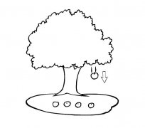 掉苹果的苹果树简笔画图片