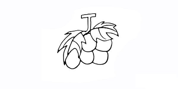 葡萄简笔画