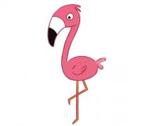 两款火烈鸟简笔画图片