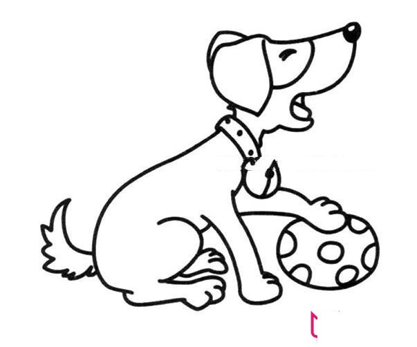 小狗简笔画图片大全，可爱的小狗怎么画