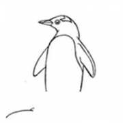 企鹅简笔画四步画出