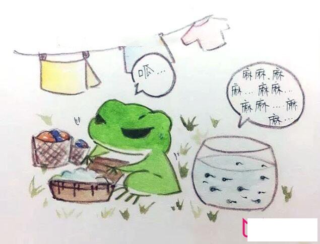 旅行青蛙简笔画图片,佛系青蛙怎么画