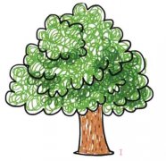 大树涂颜色怎么画简笔画图片简单漂亮