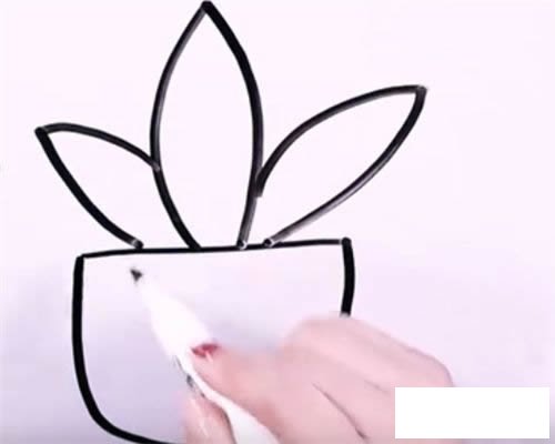 万年青简笔画图片