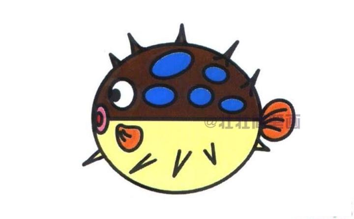 河豚鱼简笔画画法_怎么画河豚鱼的简笔画