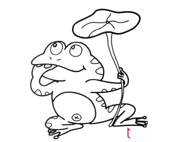 青蛙简笔画图片大全，可爱的青蛙怎么画