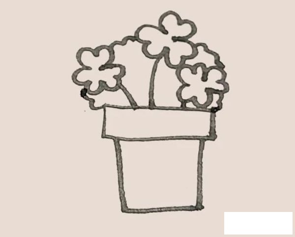 三叶草盆栽简笔画图片