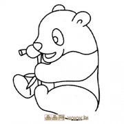 吃竹子的大熊猫简笔画