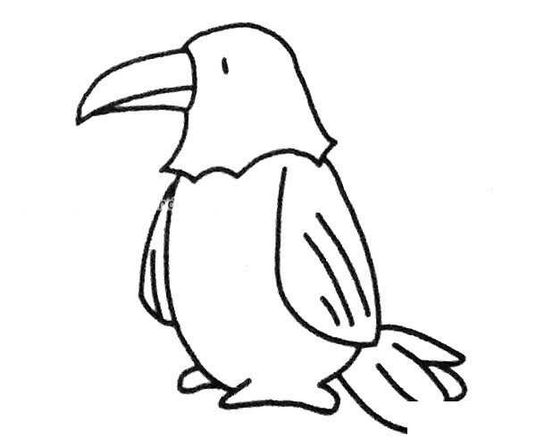 老鹰简笔画图片 老鹰的简单画法大全