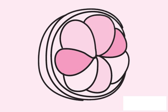 山竹简笔画图片