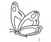 简单的蝴蝶简笔画,飞舞的蝴蝶